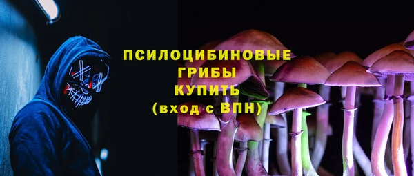 ECSTASY Кинешма