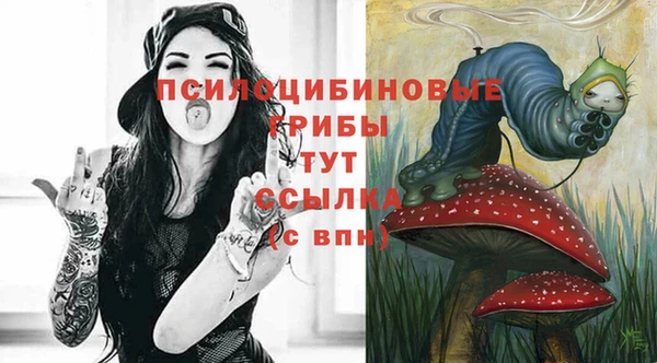 ECSTASY Кинешма