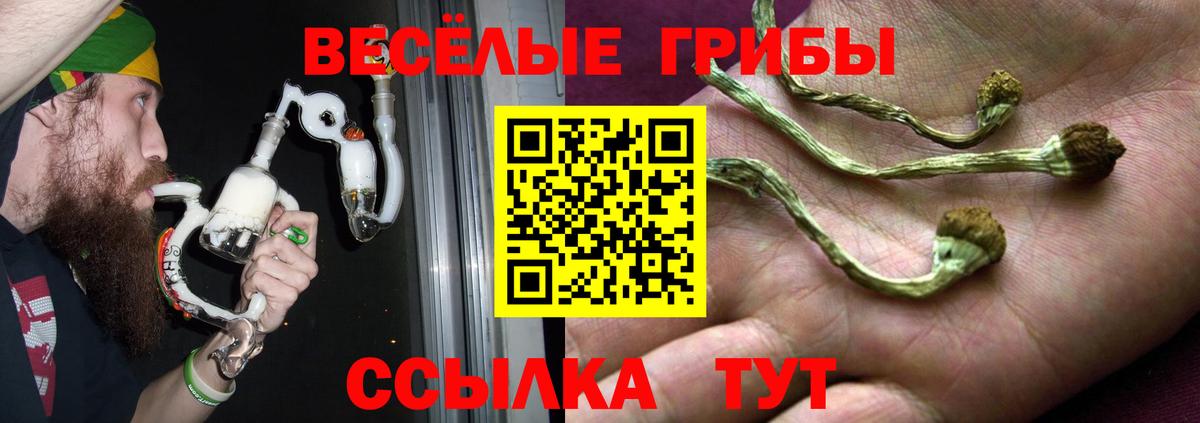 Псилоцибиновые грибы мицелий  Вход с VPN  Ачинск  Псилоцибиновые грибы прущие грибы 